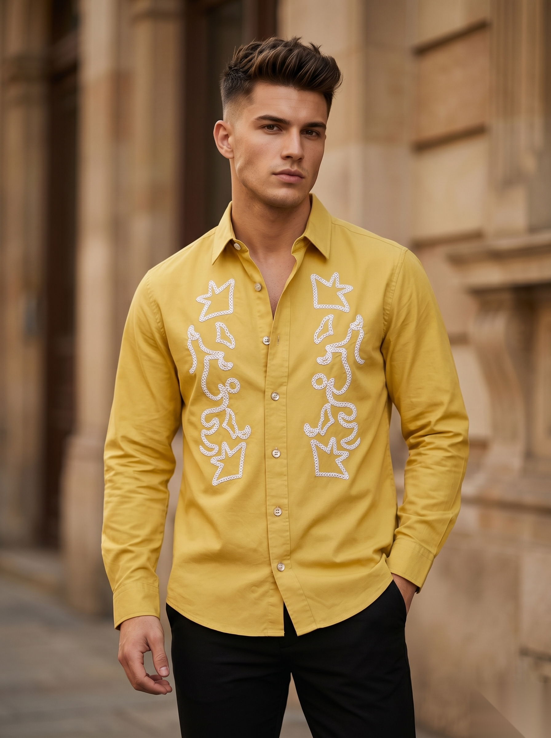 Embroidery Fullsleeve Shirts