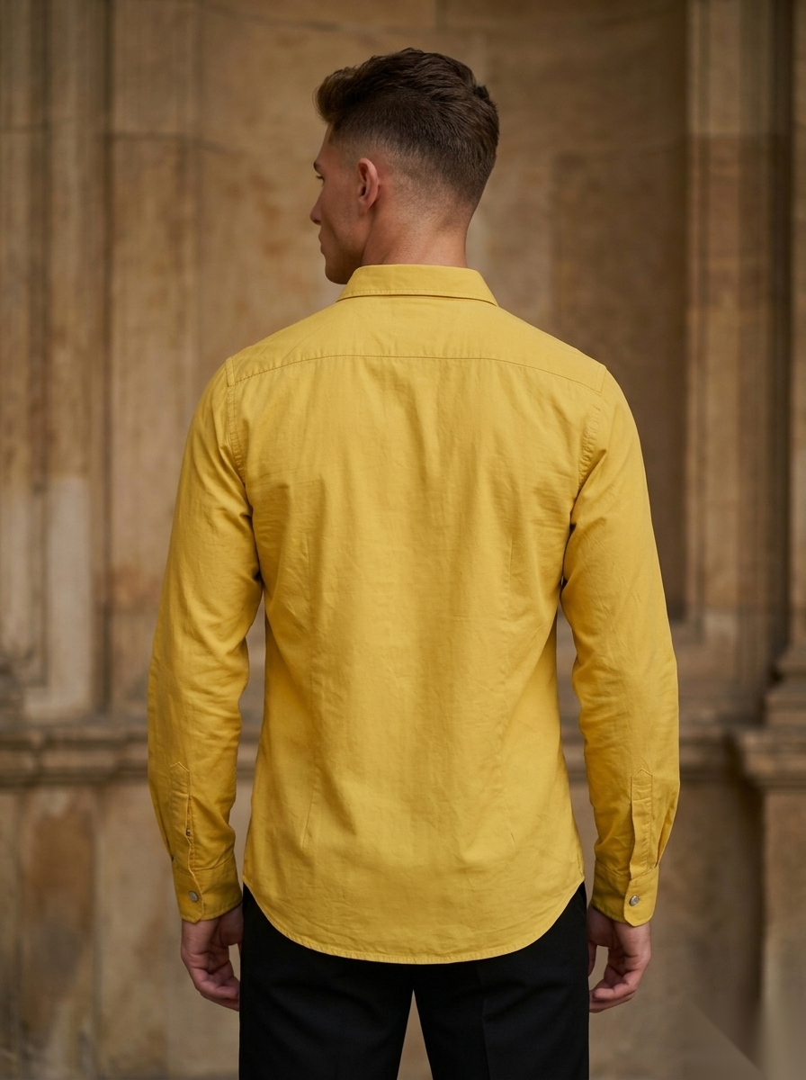 Embroidery Fullsleeve Shirts