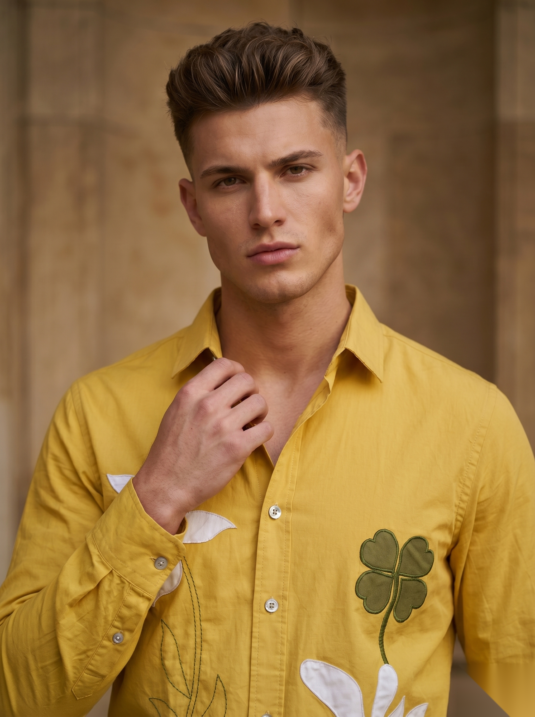 Embroidery Fullsleeve Shirts