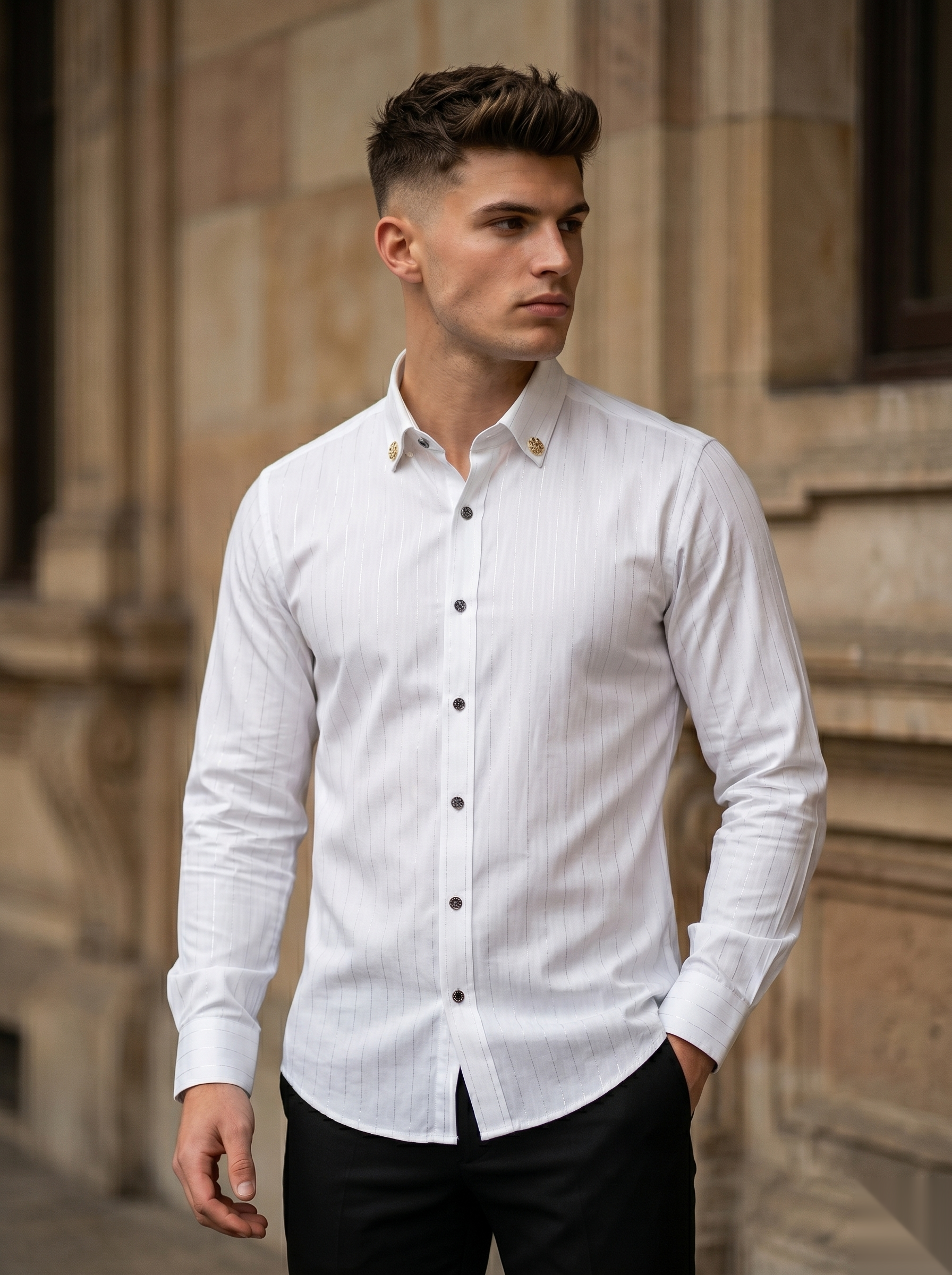 Silver Stripes Party-Wear Shirts
